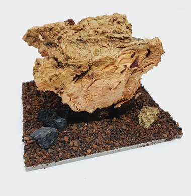 AntScape Biohobby 0223021503019