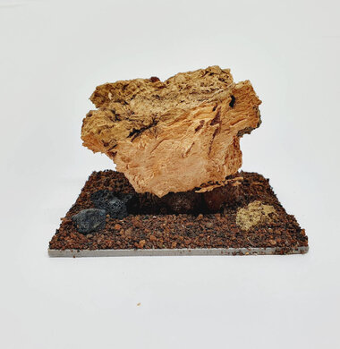 AntScape Biohobby 0223021503019