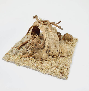 AntScape Biohobby 0223022501002