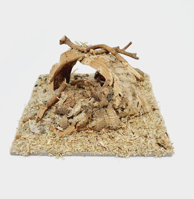 AntScape Biohobby 0223022501002