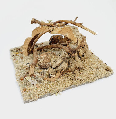 AntScape Biohobby 0223022501002