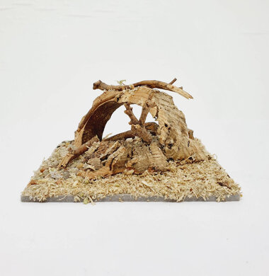 AntScape Biohobby 0223022501002