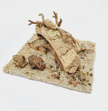 AntScape Biohobby 0223022501002