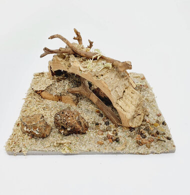 AntScape Biohobby 0223022501002