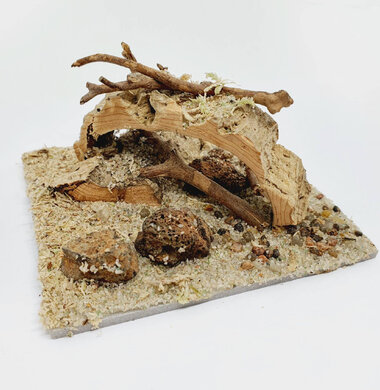 AntScape Biohobby 0223022501002