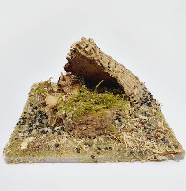 AntScape Biohobby 0223031901009