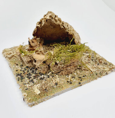 AntScape Biohobby 0223031901009