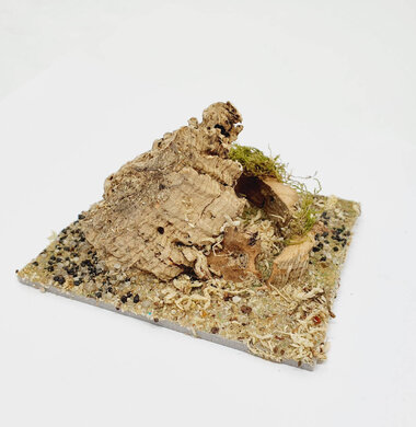 AntScape Biohobby 0223031901009