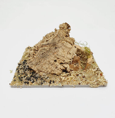 AntScape Biohobby 0223031901009