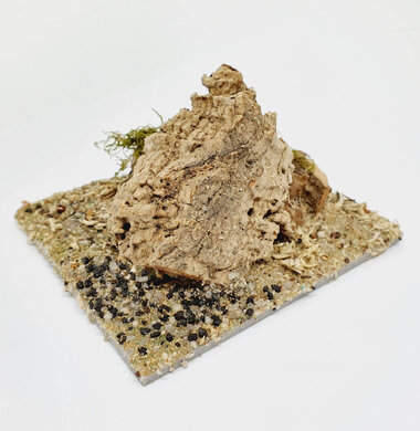 AntScape Biohobby 0223031901009