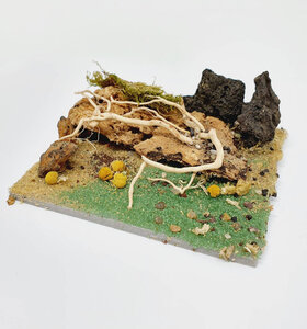 AntScape Biohobby 0223031901010