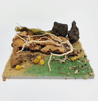 AntScape Biohobby 0223031901010