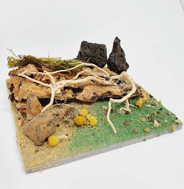 AntScape Biohobby 0223031901010