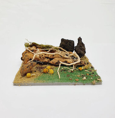 AntScape Biohobby 0223031901010