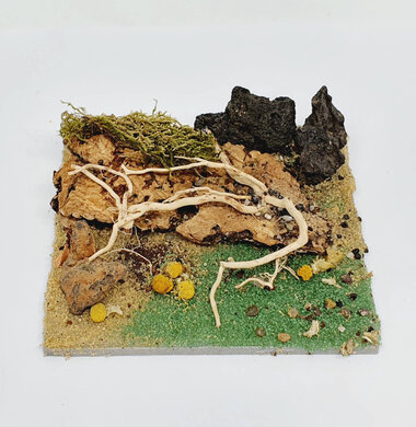 AntScape Biohobby 0223031901010