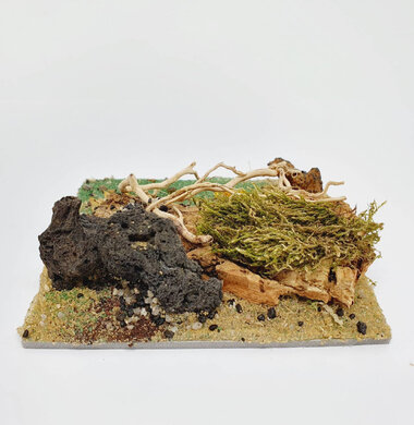 AntScape Biohobby 0223031901010