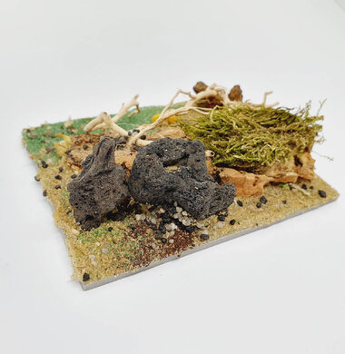 AntScape Biohobby 0223031901010