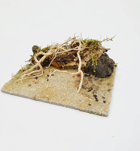 AntScape Biohobby 0223031901011