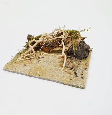 AntScape Biohobby 0223031901011