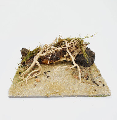 AntScape Biohobby 0223031901011