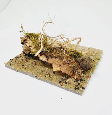 AntScape Biohobby 0223031901011