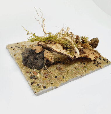 AntScape Biohobby 0223031901011