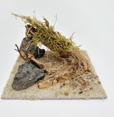 AntScape Biohobby 0223031901012