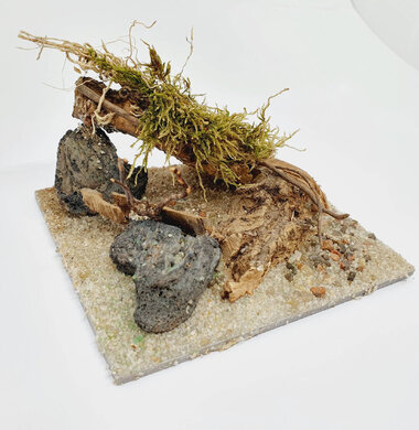 AntScape Biohobby 0223031901012