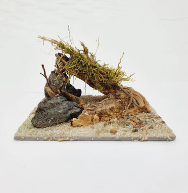 AntScape Biohobby 0223031901012