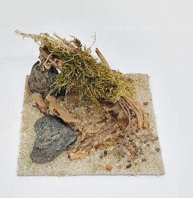 AntScape Biohobby 0223031901012