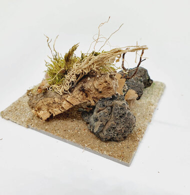 AntScape Biohobby 0223031901012