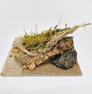 AntScape Biohobby 0223031901012