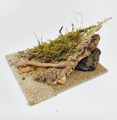 AntScape Biohobby 0223031901012