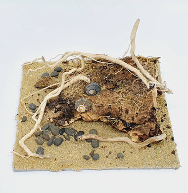 AntScape Biohobby 0223031901013