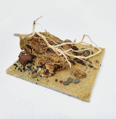 AntScape Biohobby 0223031901013