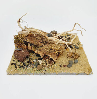 AntScape Biohobby 0223031901013