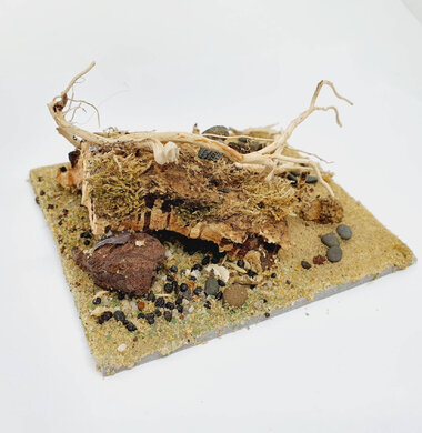 AntScape Biohobby 0223031901013