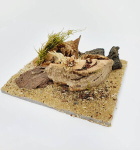 AntScape Biohobby 0223031901014