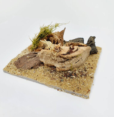 AntScape Biohobby 0223031901014