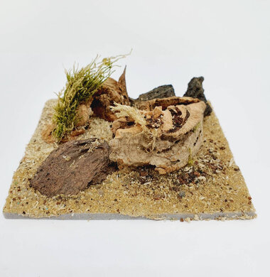 AntScape Biohobby 0223031901014