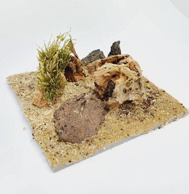 AntScape Biohobby 0223031901014