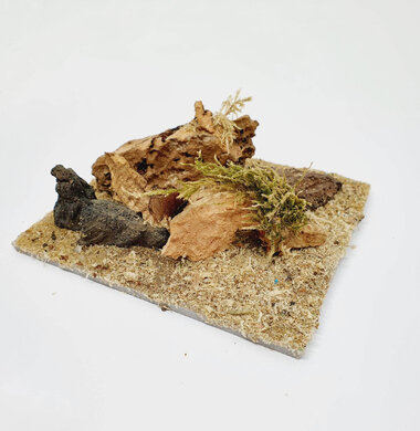 AntScape Biohobby 0223031901014