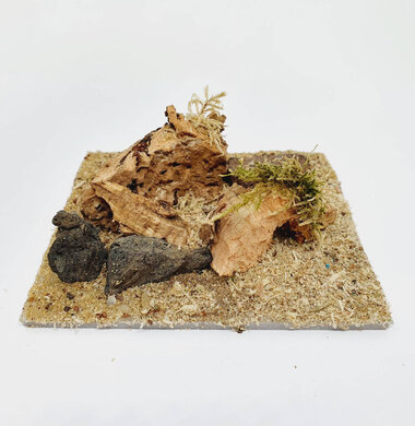 AntScape Biohobby 0223031901014