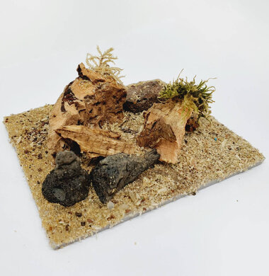 AntScape Biohobby 0223031901014