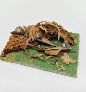 AntScape Biohobby 0223031901015