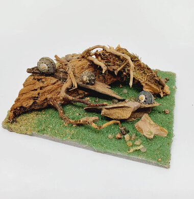 AntScape Biohobby 0223031901015