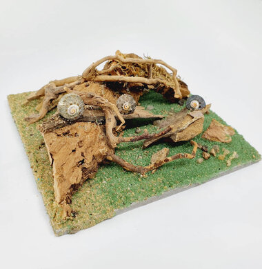 AntScape Biohobby 0223031901015