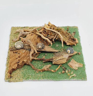 AntScape Biohobby 0223031901015