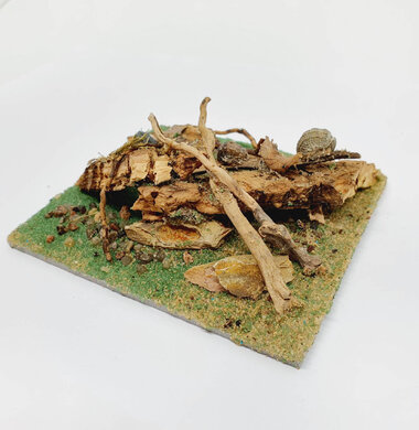 AntScape Biohobby 0223031901015