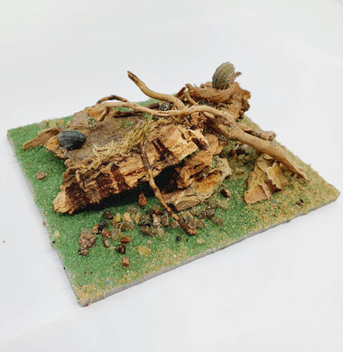 AntScape Biohobby 0223031901015